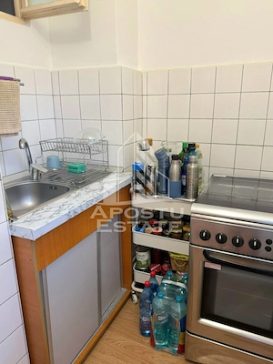 Apartament cu 1 camera de vanzare, etaj intermediar, zona Bucovina - imagine 8