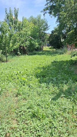 Vand casa parter si etaj, teren aferent aprox. 2300 mp - imagine 4