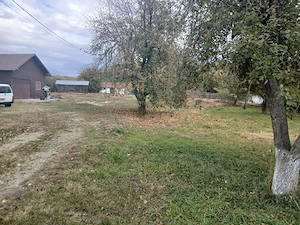 Vânzare construcții (hale) suprafață totala 400 mp și teren 8000 mp la DJ 661 în Jupânești, GORJ - imagine 2