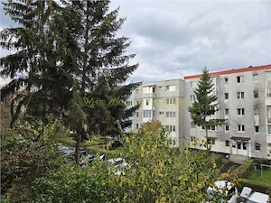 Apartament renovat 3 camere zona Garii - imagine 16