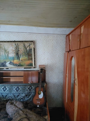 De vanzare casa batraneasca in Adancata, Ialomita - imagine 4