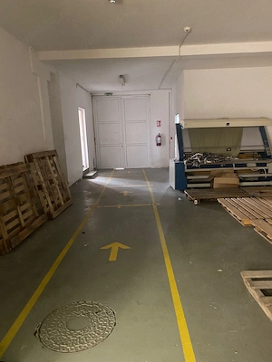 Vand hala 2300 mp Costesti, cu teren de 5050 mp, curti constructii, intravilan, cu utilitati - imagine 8