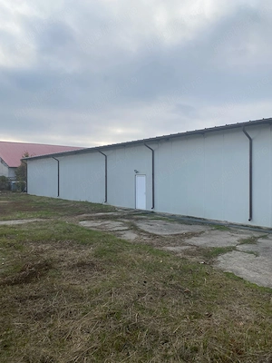 Vand hala 2300 mp Costesti, cu teren de 5050 mp, curti constructii, intravilan, cu utilitati - imagine 10