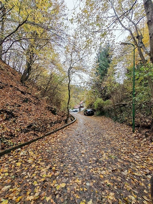 Teren Schei - str. Valea Tei, PUG locuinte individuale. - imagine 8