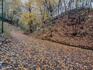 Teren Schei - str. Valea Tei, PUG locuinte individuale. - imagine 6