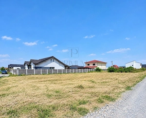 Teren Intravilan - Mosnita Veche - 2 fronturi stradale - str. asfaltata