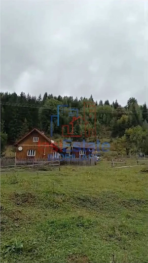 Proprietate Generoas #259; cu Cas #259;  #537;i P #226;r #226;u  #238;n Dorna Arini (Sat Ortoaia - imagine 6