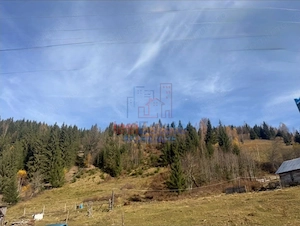 Proprietate Generoas #259; cu Cas #259;  #537;i P #226;r #226;u  #238;n Dorna Arini (Sat Ortoaia - imagine 3