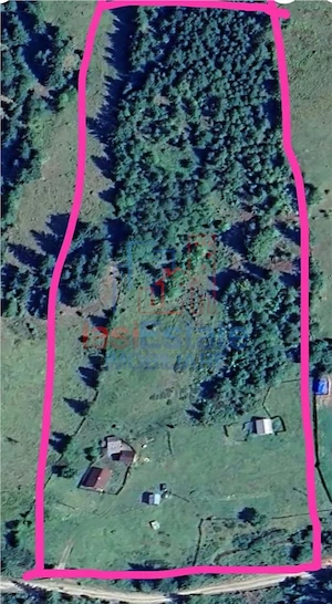 Proprietate Generoas #259; cu Cas #259;  #537;i P #226;r #226;u  #238;n Dorna Arini (Sat Ortoaia - imagine 2