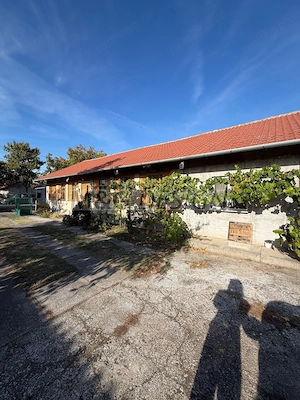 Casa nemteasca 4 camere Uivar - imagine 15