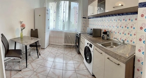 Apartament cu 3 camere de inchiriat-Nicolae Grigorescu-Theodor Pallady-Salajan-Camil Ressu - imagine 5