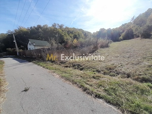 TEREN DE VANZARE IN BABANA, ARGES,  LANGA PADURE - imagine 2