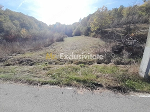TEREN DE VANZARE IN BABANA, ARGES,  LANGA PADURE - imagine 4