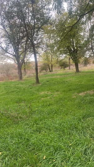 Vând teren la munte 13.068 mp,jud.Prahova, deschidere DJ102L, cabană panouri sandwich, pârâu pădure - imagine 2