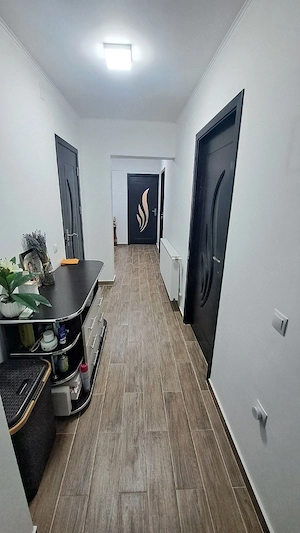 Ap.3 camere Vidin RENOVAT - imagine 15