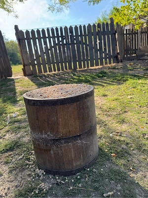 Porumb si mazare