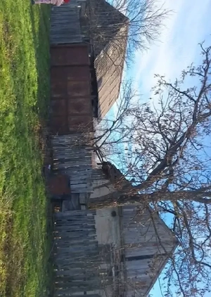Vand casa in Sacoșu mare, 6000m2