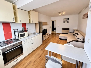 Închiriez apartament 2 camere   Palladium Residence, Sector 3 | 430   lună - imagine 3
