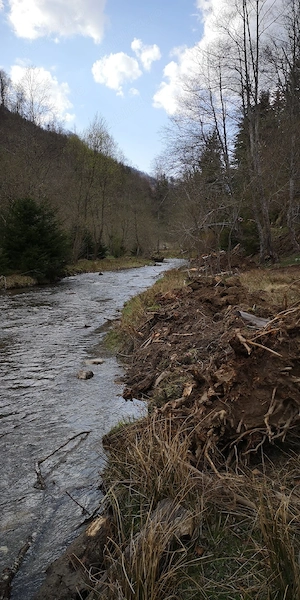 Teren 2000 mp Săticu de Sus   Deschidere Râul Dâmbovița & Drum Forestier (Valea lui Ivan) - imagine 5