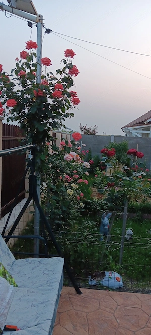 Casă individuală parter Sânandrei   Teren 700 mp   Direct Proprietar - imagine 7
