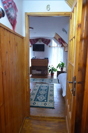Vila de vacanta cu sapte(7) camere ,pretabil pensiune - imagine 5