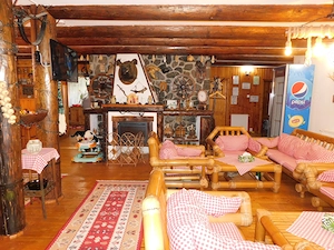 Vila de vacanta cu sapte(7) camere ,pretabil pensiune - imagine 14