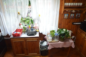 Vila de vacanta cu sapte(7) camere ,pretabil pensiune - imagine 9