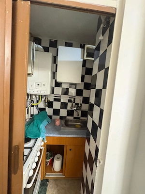 Inchiriere gars cf3,14 m2 zona baicului - imagine 4