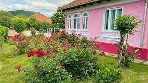 Vand casa locuibila cu teren 1490 mp