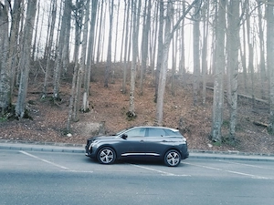Peugeot 3008-  An 2022 - imagine 2
