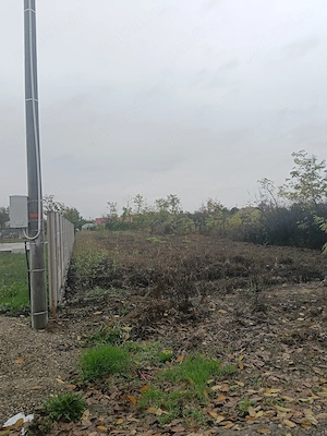 Teren intravilan de vânzare în Jilavele ialomița 