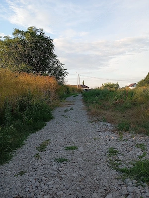 Teren intravilan de vânzare - Tămădău Mare (25 km de București)  - imagine 8