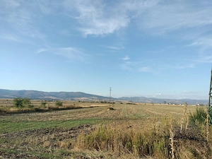 Teren intravilan, Orăștie, Hunedoara   8.500 m  - imagine 8