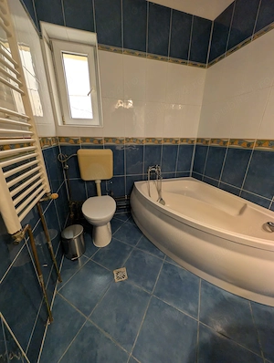 Casa de inchiriat in Balcescu - imagine 7