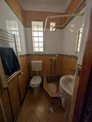 Casa de inchiriat in Balcescu - imagine 2