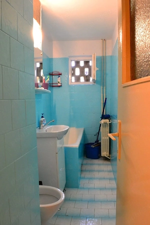 Apartament 2 camere, zona Dacia - imagine 7
