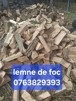 vand lemne de foc   