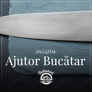 angajam ajutor bucatar cu experienta - imagine 2