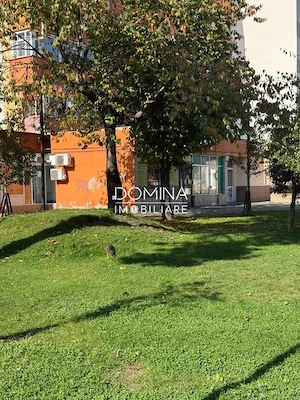 Închiriere spațiu comercial, str. Unirii, zona Parcului Tudor Vladimirescu - imagine 6