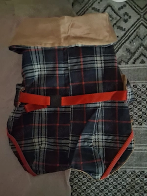 hainute pentru catei 