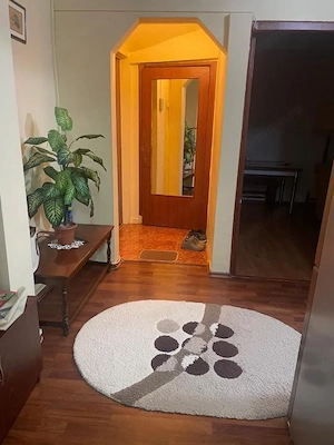 Apartament 3 camere Alexandria zona I-uri pret negociabil - imagine 7