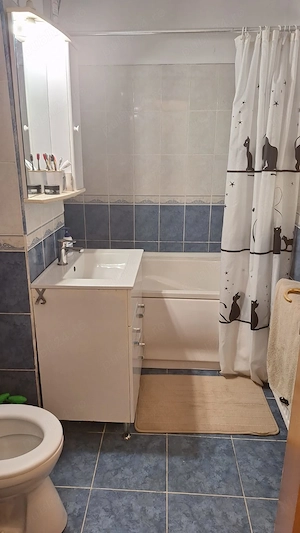 Apartament 3 camere, decomandat, etaj 1, direct proprietar - imagine 9