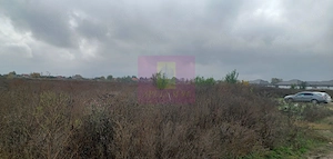 Sabareni, teren intravilan 6320 mp, pentru case