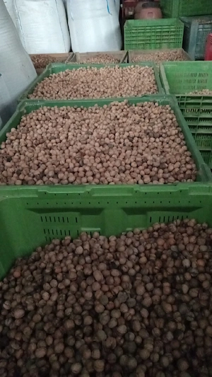 vand nuci in coaja