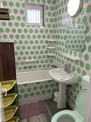 De vanzare apartament cu 1 cameră în zona ultracentrală, Arad - imagine 5