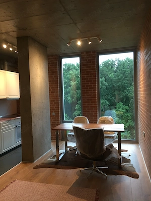 Loft Green Apartment Mogosoaia Studio Garsoniera Apartament One Herastrau Padure Baneasa Forest - imagine 7