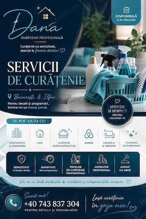 servicii de Curatenie Profesionale Apartamente, Case, Birouri 