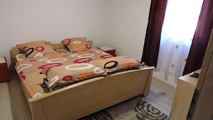 Cabana Ica Baile Figa - Cabană cu 3 dormitoare - imagine 2