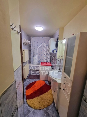 Apartament cu 3 camere de inchiriat,curte si gradina comuna,Iosefin - imagine 6