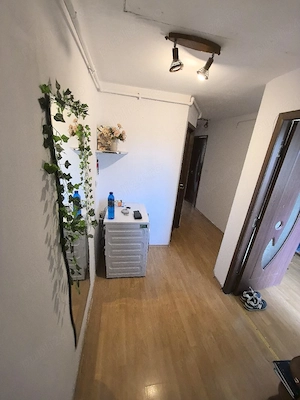 Apartament 2 camere - Noua, Brasov - imagine 3